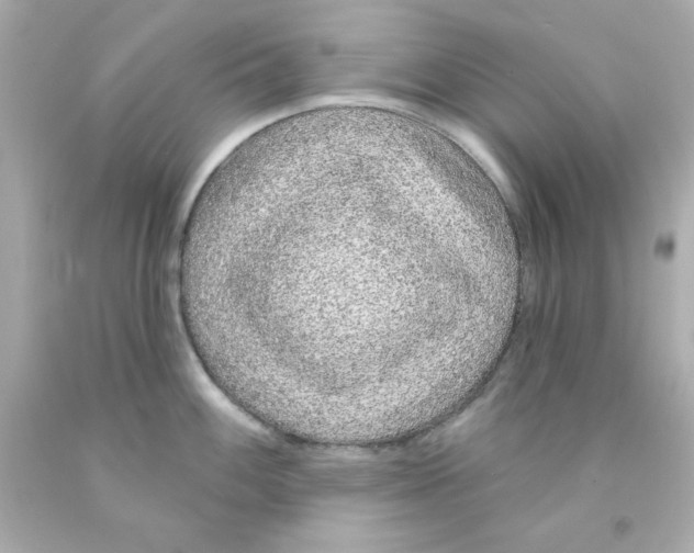 X0000093141100200710241337