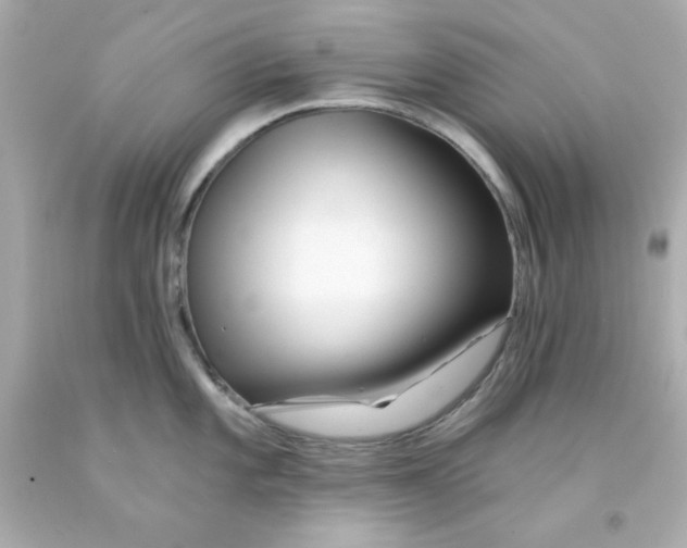 X0000093141101200710241337