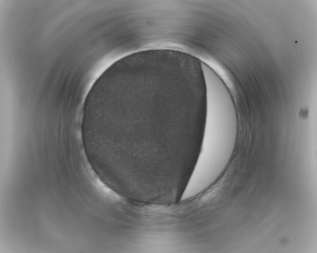 X0000093141102200710241337