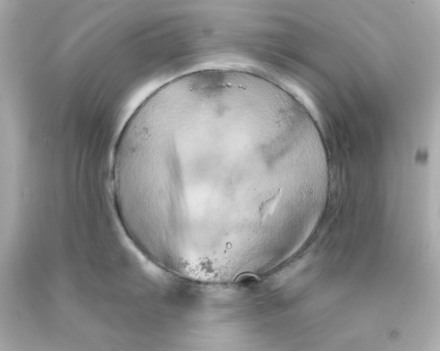 X0000093141103200710241337