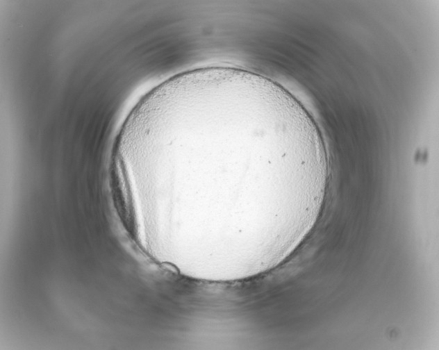 X0000093141104200710241337