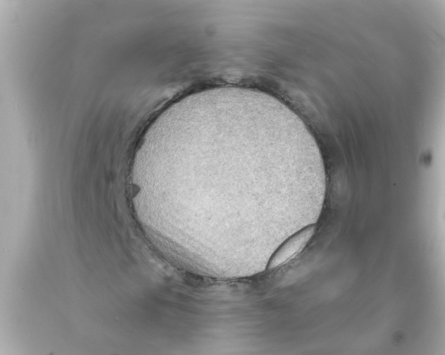 X0000093141105200710241337