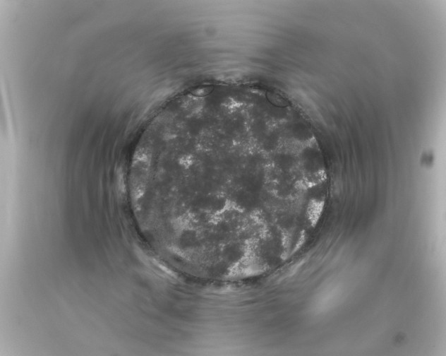 X0000093141106200710241337