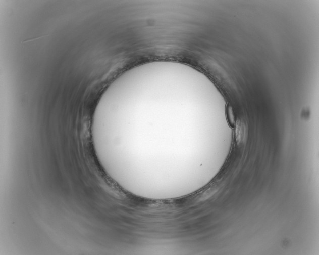 X0000093141107200710241337