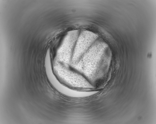 X0000093141108200710241337