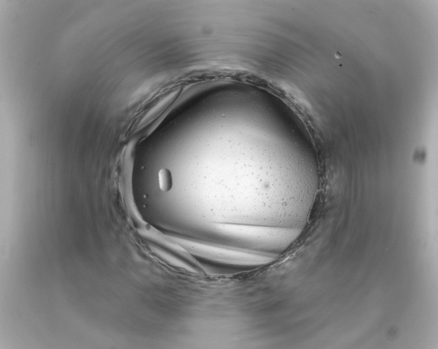 X0000093141110200710241337