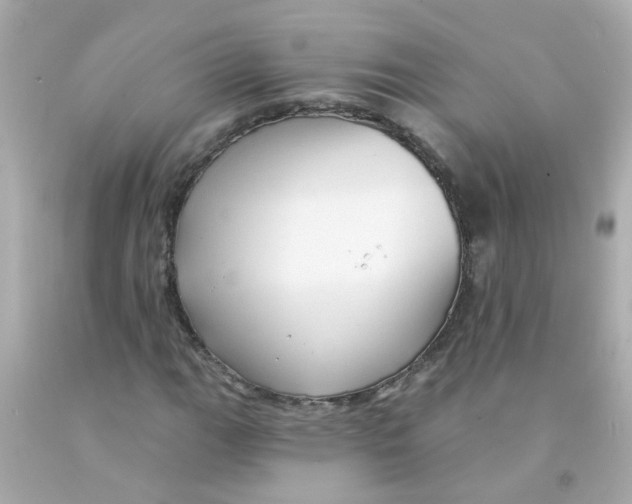 X0000093141111200710241337