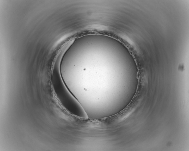 X0000093141112200710241337