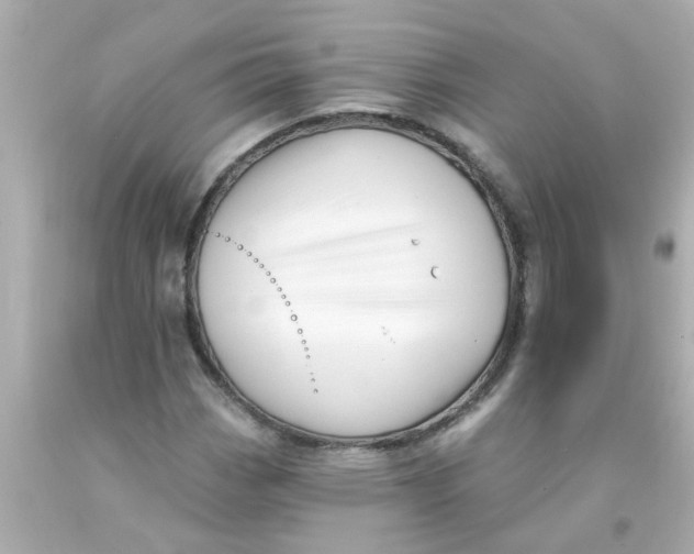 X0000093141113200710241337