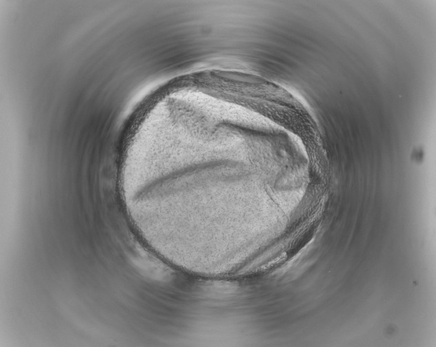 X0000093141115200710241337