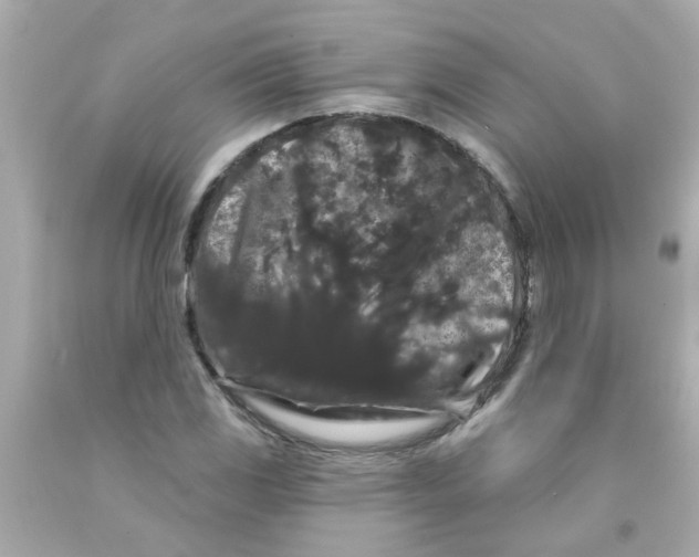 X0000093141117200710241337