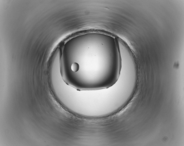 X0000093141118200710241337