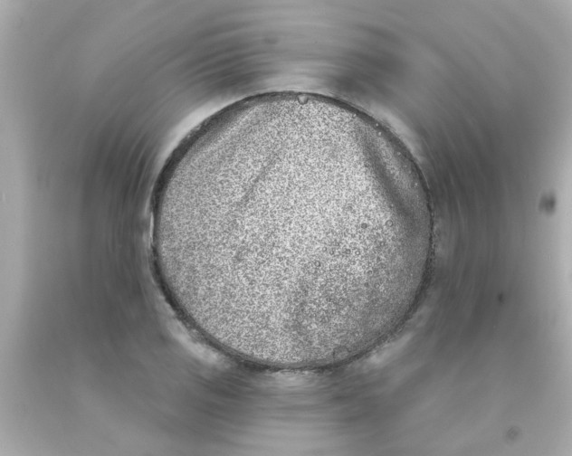 X0000093141125200710241337