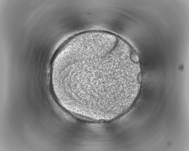 X0000093141126200710241337