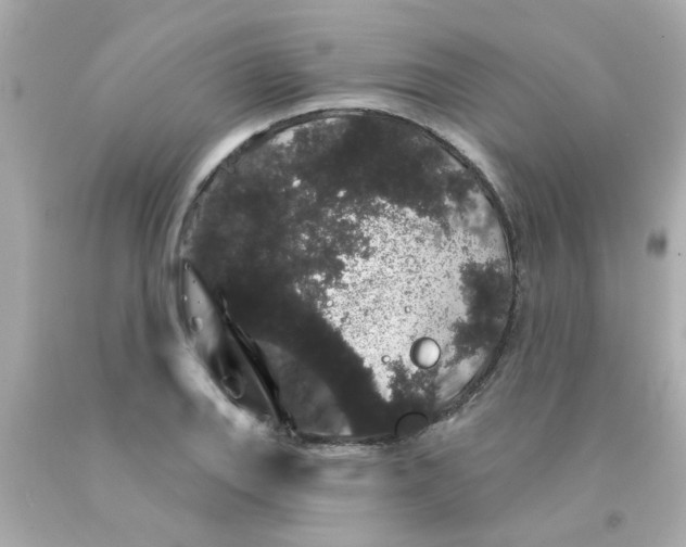 X0000093141127200710241337