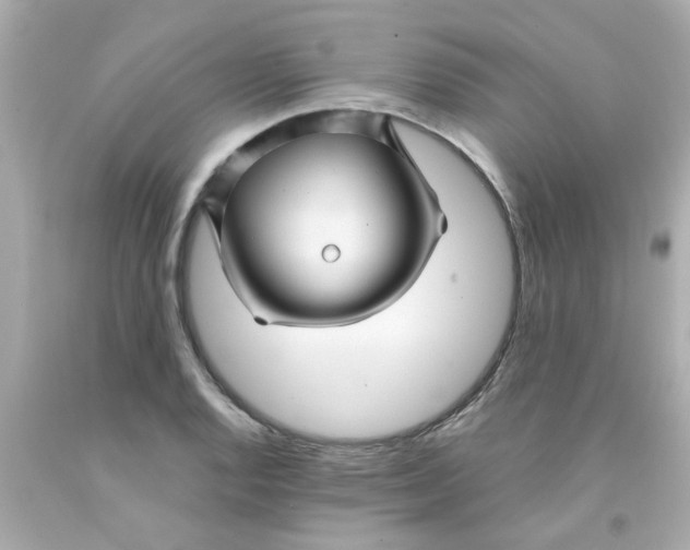 X0000093141128200710241337