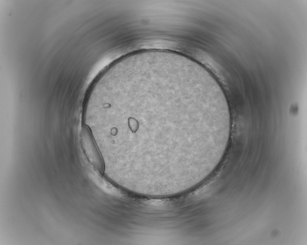 X0000093141130200710241337