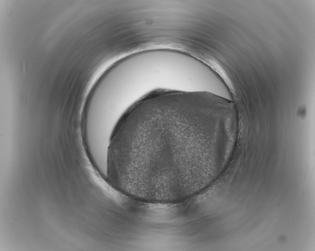 X0000093141132200710241337