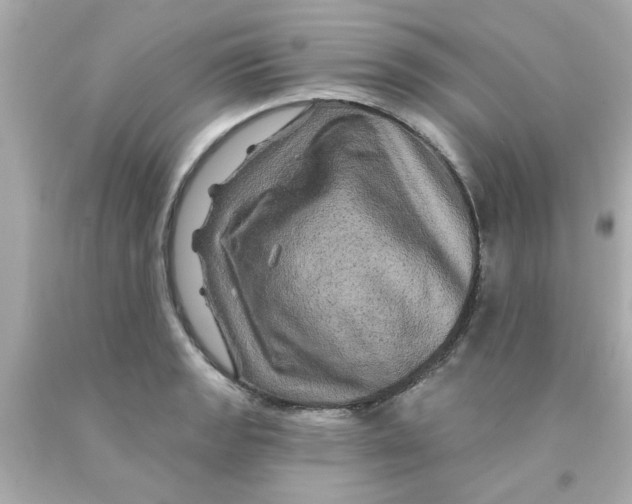 X0000093141133200710241337