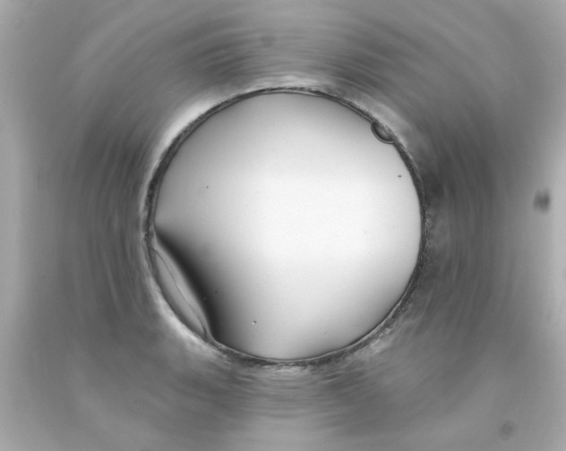 X0000093141135200710241337