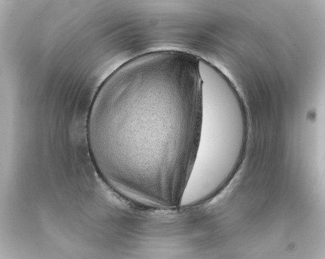 X0000093141137200710241337