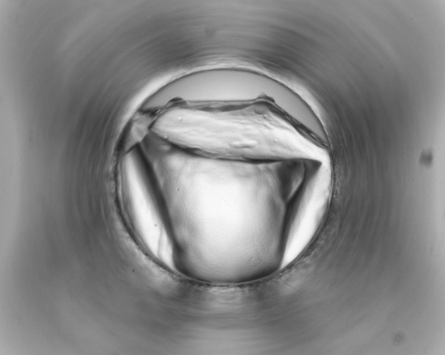 X0000093141142200710241337