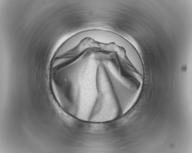 X0000093141144200710241337