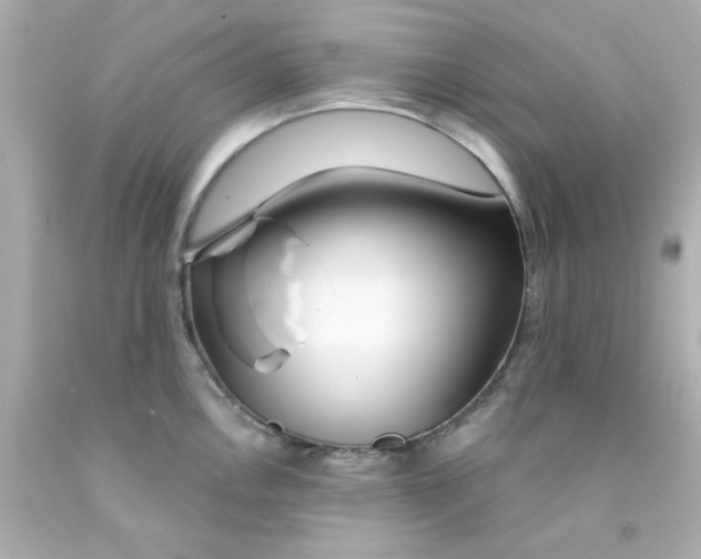 X0000093141146200710241337