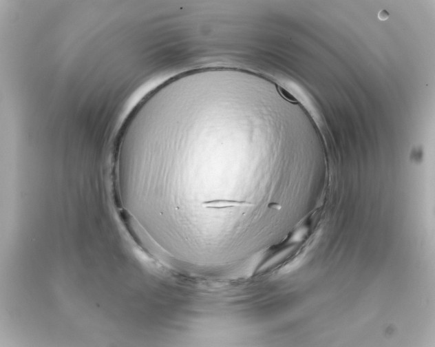 X0000093141149200710241337