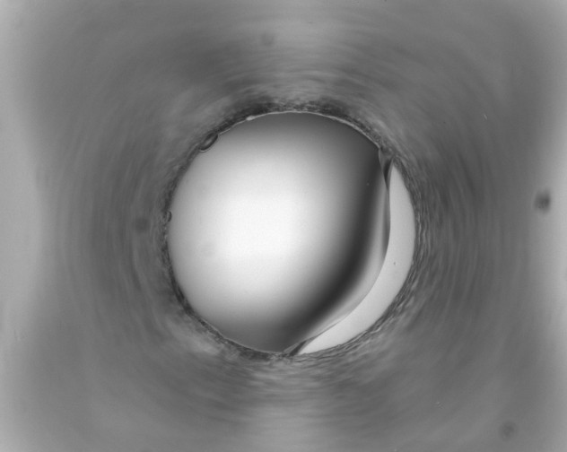 X0000093141153200710241337