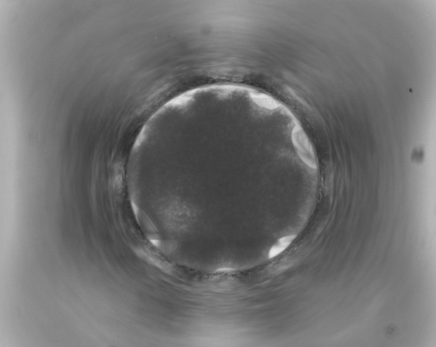 X0000093141154200710241337