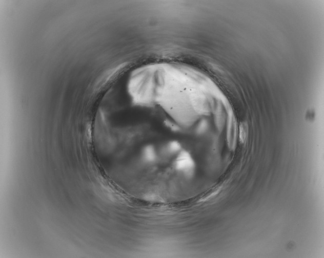 X0000093141155200710241336