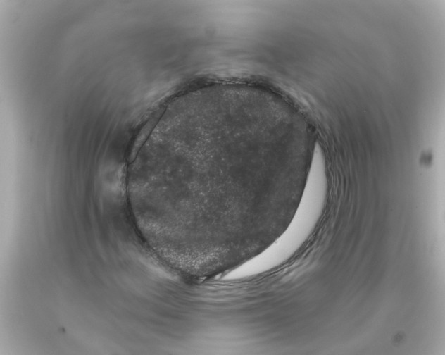 X0000093141156200710241336