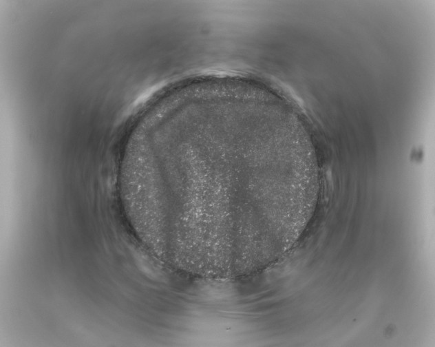 X0000093141158200710241336