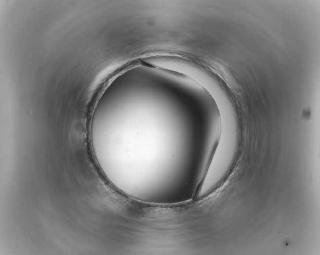 X0000093141164200710241336