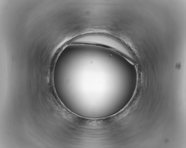 X0000093141165200710241336