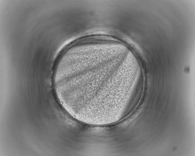 X0000093141166200710241336