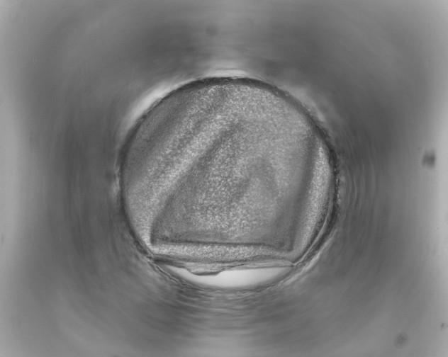 X0000093141167200710241336