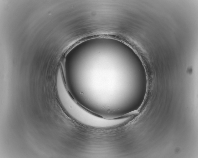 X0000093141169200710241336