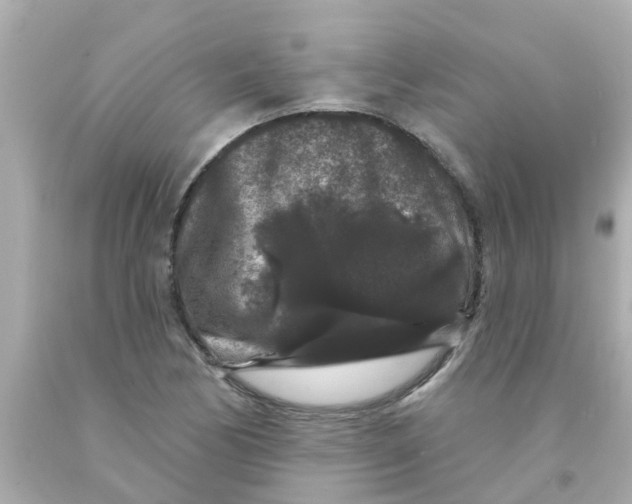 X0000093141170200710241336