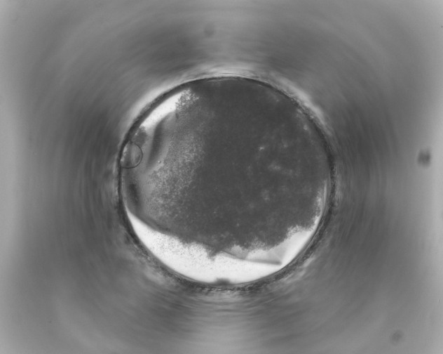 X0000093141174200710241336