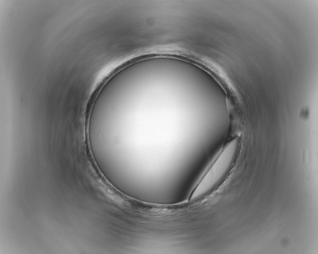 X0000093141176200710241336