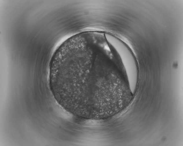 X0000093141179200710241336