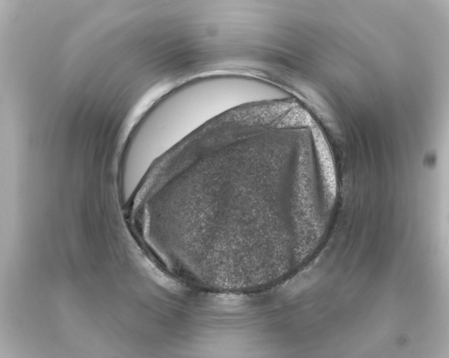 X0000093141180200710241336