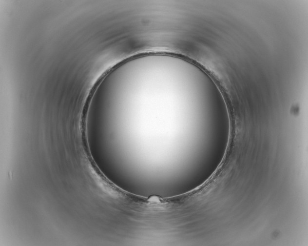 X0000093141181200710241336