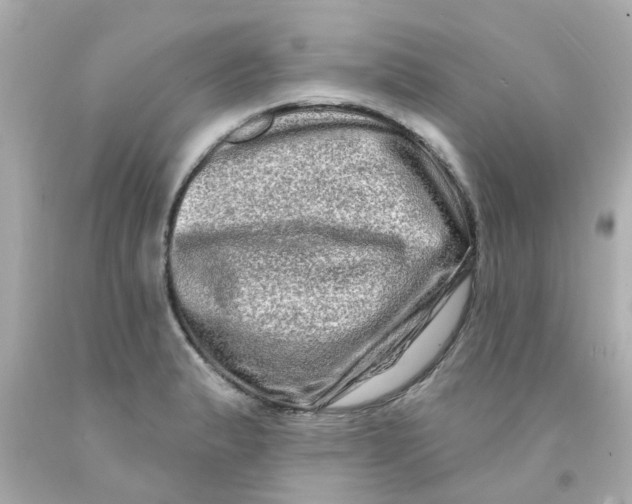 X0000093141183200710241336