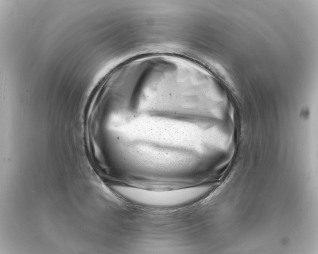 X0000093141184200710241336