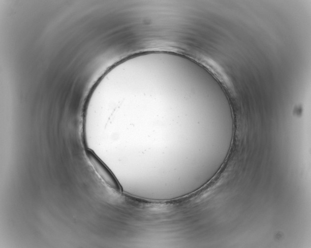 X0000093141188200710241336