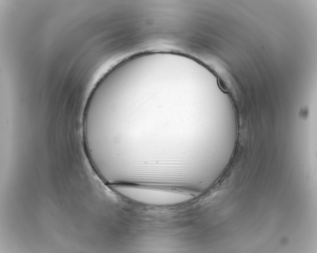 X0000093141191200710241336