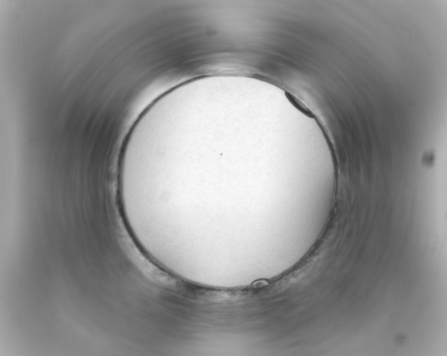 X0000093141195200710241336